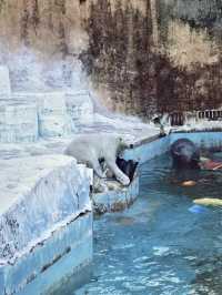 綠野微光：天王寺動物園的自然樂章