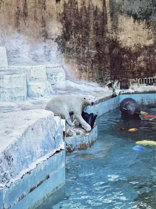 綠野微光：天王寺動物園的自然樂章