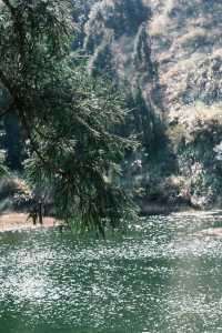 ⛰️明天要去台北小瑞士擎天崗！