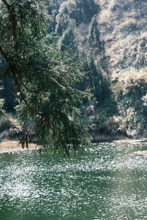 ⛰️明天要去台北小瑞士擎天崗！