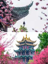 來鴻恩寺，邂逅花與禪意的浪漫約定