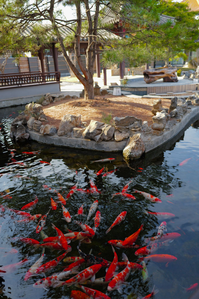 京郊溫都水城裡的寶藏私湯酒店：水城一瓢