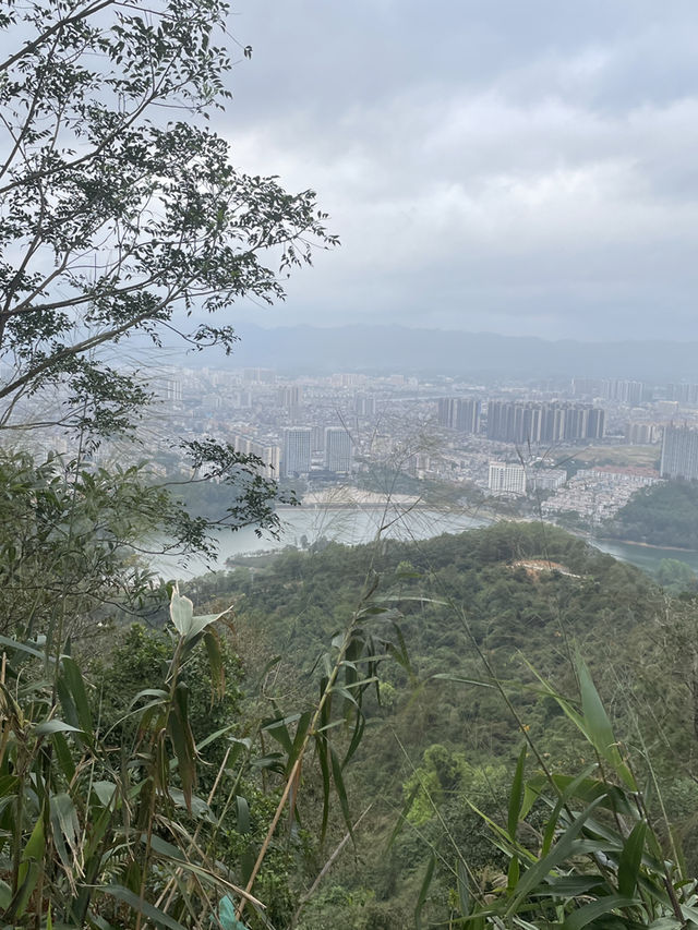☕️🍽️ 早茶過後的環湖小旅程 · 陽春東湖漫步記 🚶‍♂️🌿🌊