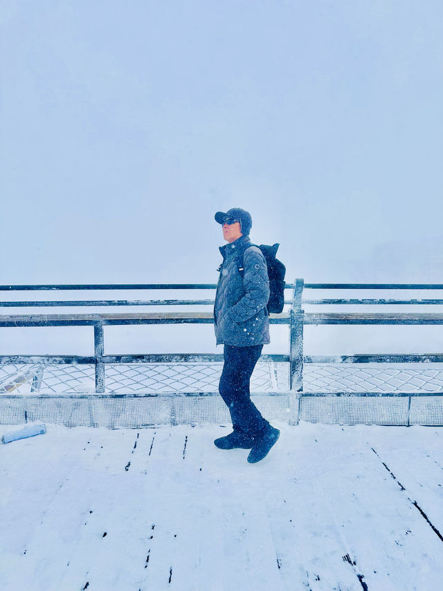 麗江 玉龍雪山 入住金茂璞修雪山酒店