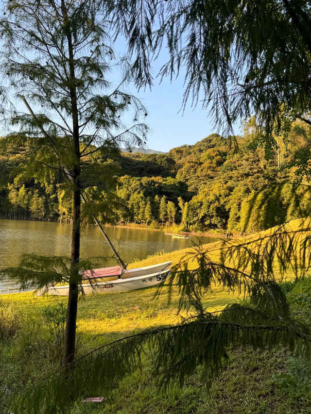 🌿 廣州天人山水 宮崎駿嘅戶外花園 🌸