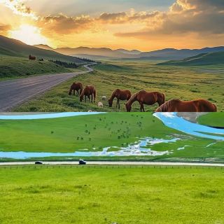 It's not Xinjiang, it's Hulunbuir! This hidden gem is well worth a visit.