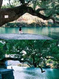 韓劇同款油菜花海|春日婺源超全旅遊攻略