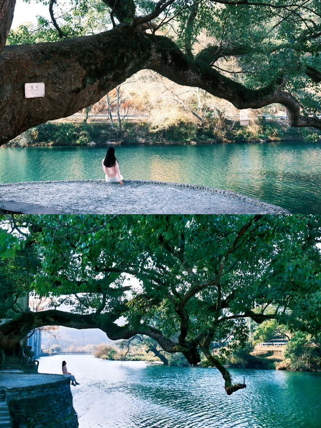 韓劇同款油菜花海|春日婺源超全旅遊攻略