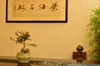 雨後運河畔，枕河居盡顯愜意慵懶