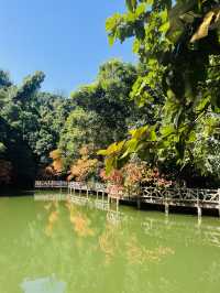 雙龍溝！（764）