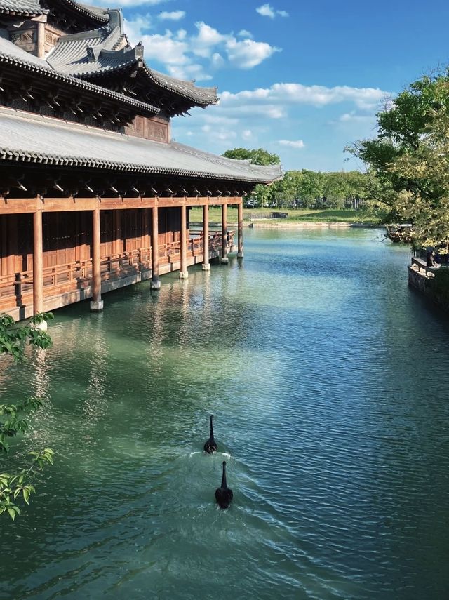 濮院五一速覽攻略