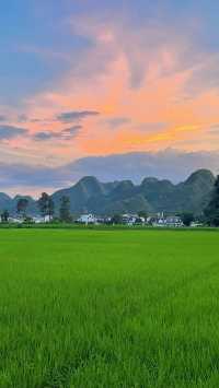 峰林為幕·稻浪為席——萬峰林田園生活真的很美