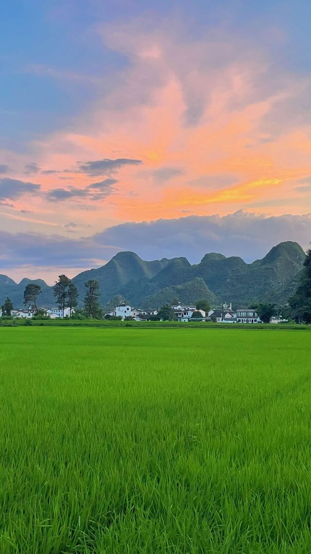 峰林為幕·稻浪為席——萬峰林田園生活真的很美