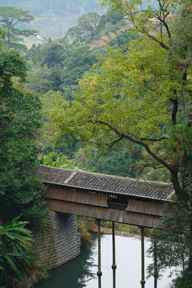 德化濟美橋（二）