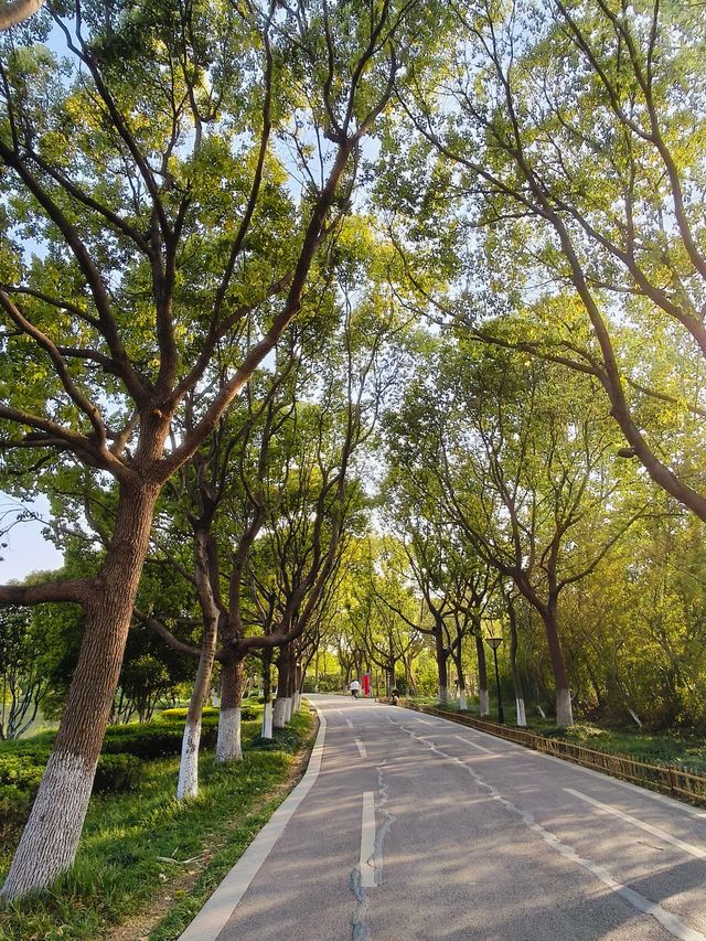 常熟沙家浜！江浙滬被低估嘅小眾景區