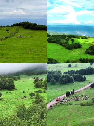 Feel the Purity and Beauty of Nature at Fenglongshan Ranch