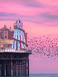 ✔️Brighton Beach in Brighton in -UK❤️‍🔥💫