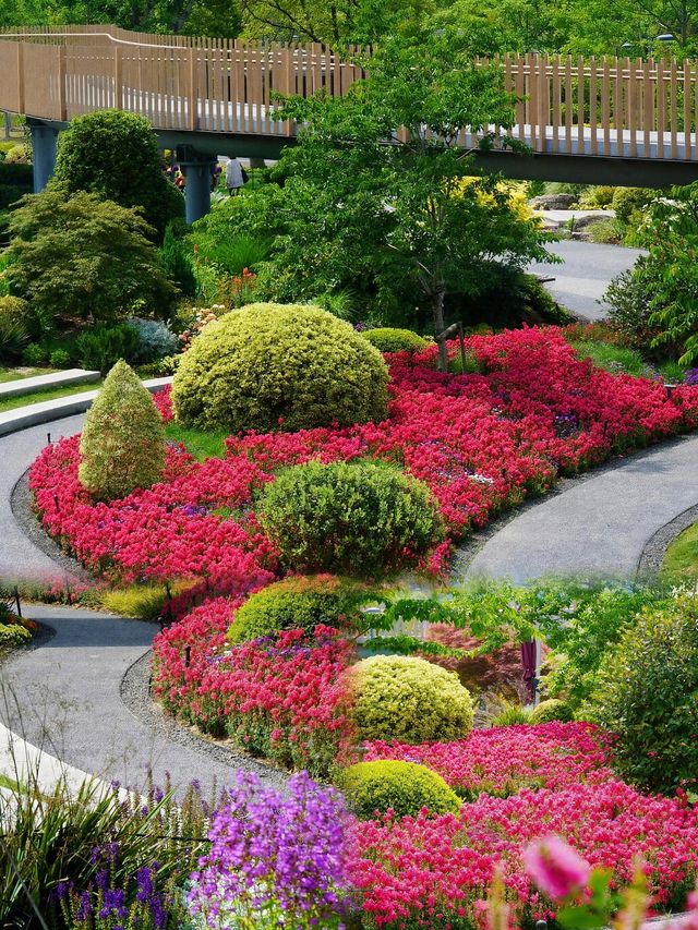 避開人潮！上海植物園國際花展小眾探秘