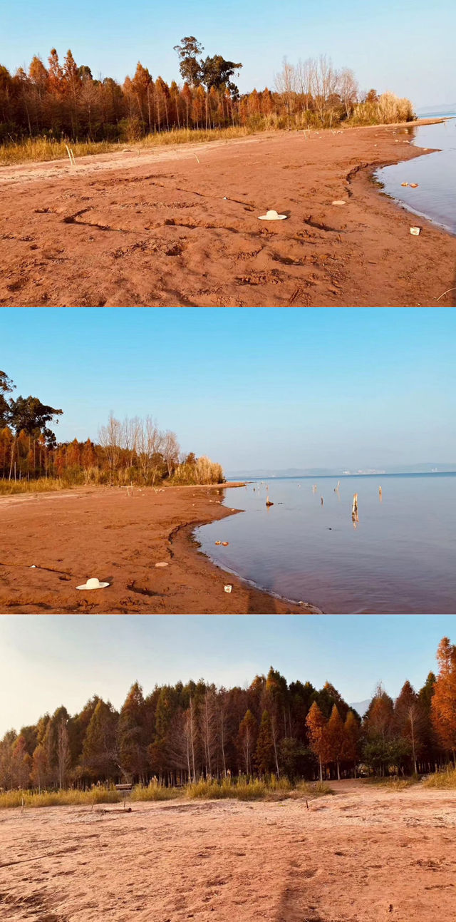 抚仙湖，展開一場湖光山色的浪漫之旅。