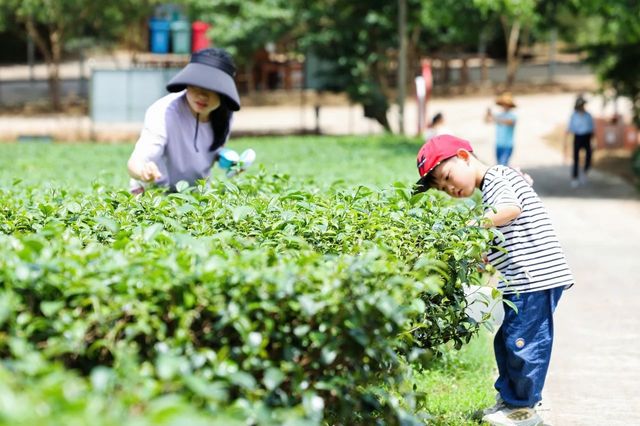 南寧休閒好去處 | 一場初夏的慢活之旅