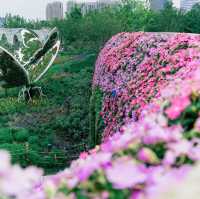 讓我再一次告訴你，這裡夏花無人知曉的美💐