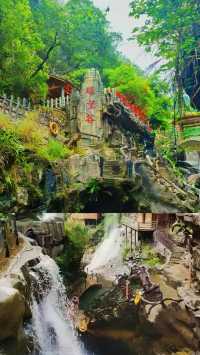 高山原始森林嘅呼吸，溪流喺腳下低吟