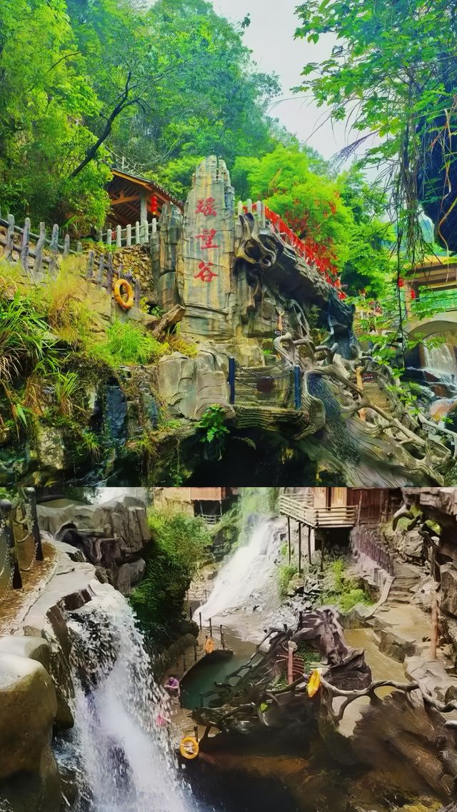 高山原始森林嘅呼吸，溪流喺腳下低吟