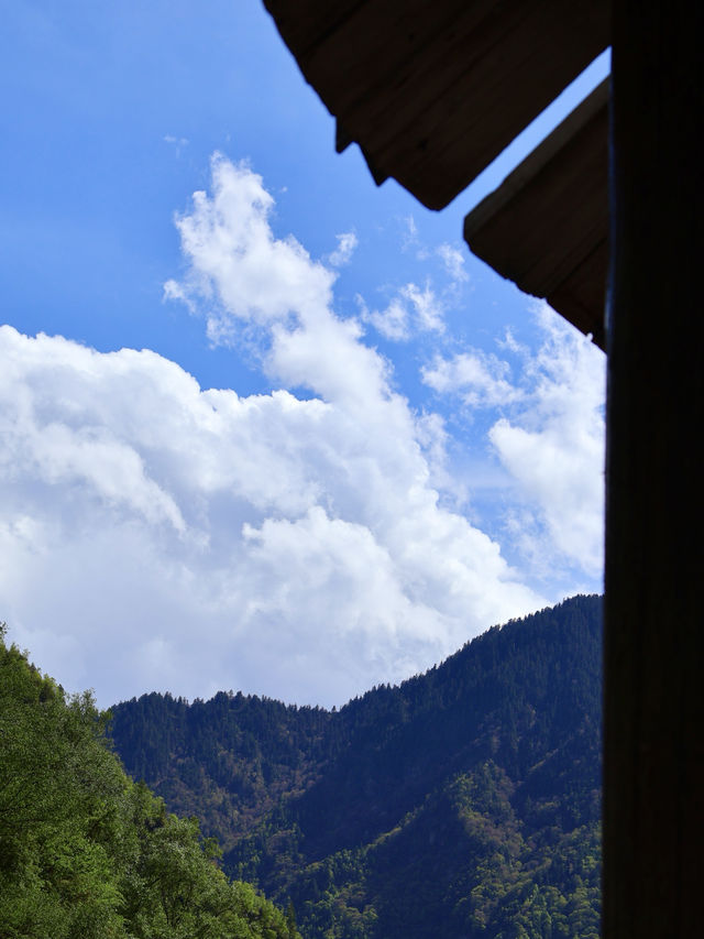各位朋友！夏天嘅川西旅行天花板又有新玩法啦！