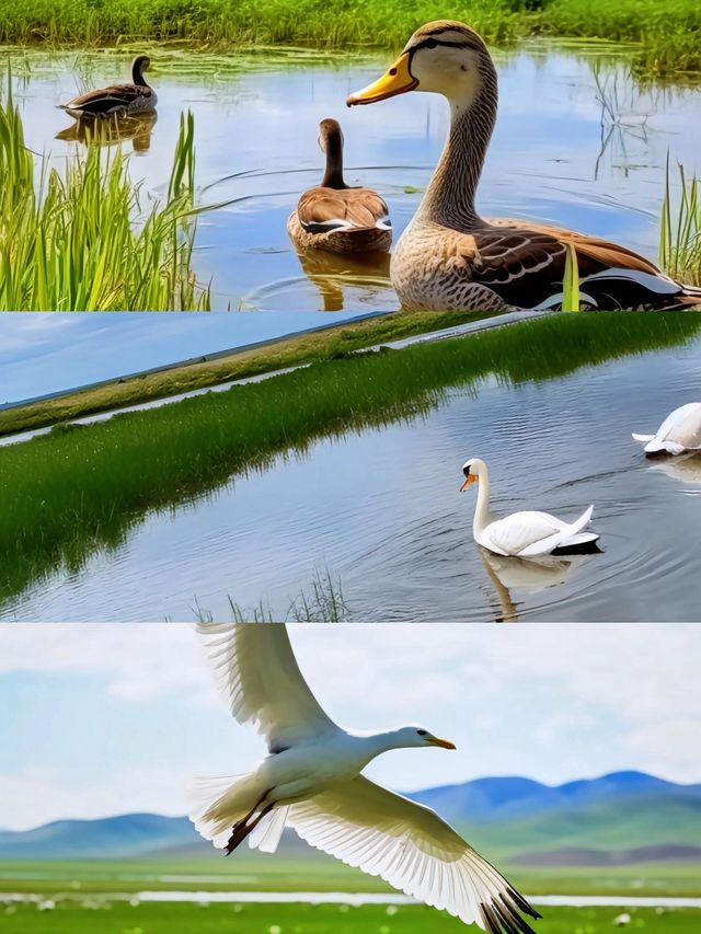 我的生命就應該浪費在這個地方…。