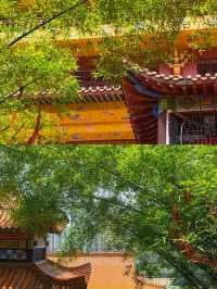 宜春受罪已回，真唔建議6月份嚟