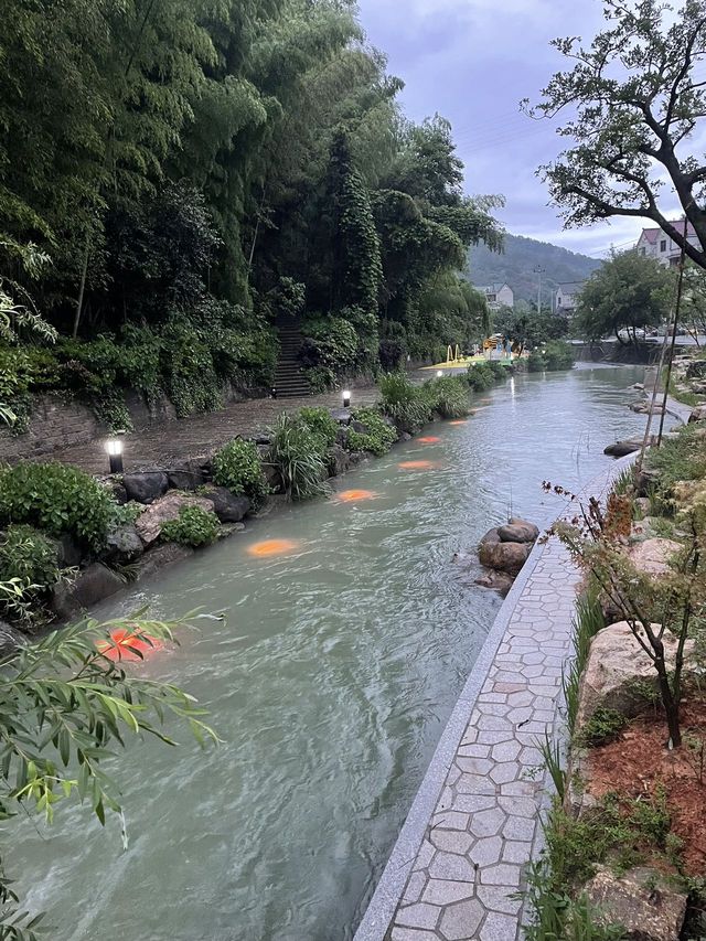 遛娃聖地爽到爆，可摘楊梅可玩水