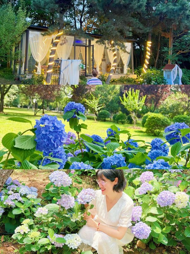 揚州，住進繡球花海同森林包圍嘅莊園