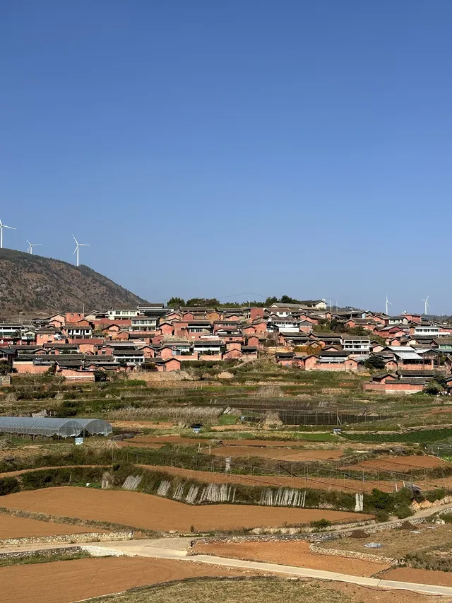 攀枝花22°C嘅暖冬係成都人嘅最愛吧？