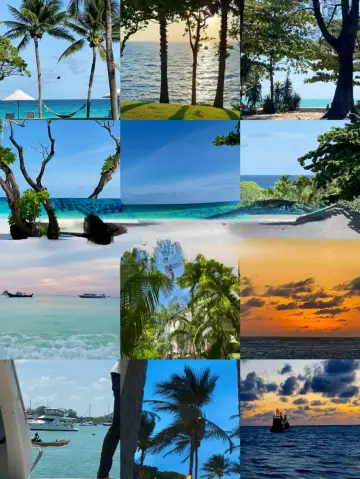 Phuket Adventure | Step into the Healing World of Adorable Island Creatures, So Romantic You Won't Want to Leave!