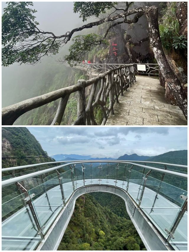 贛州安遠三百山嘅天然氧吧 快樂呼吸