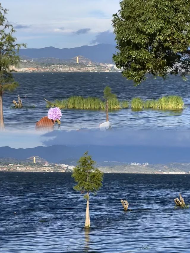 計劃7月第一次大理洱海遊玩攻略，睇呢篇就夠啦！！！