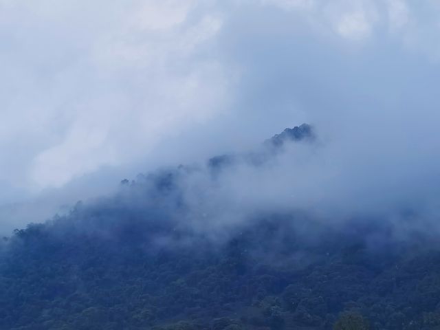 九成廣州人未去過嘅山區公園