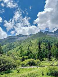 6.24📍四姑娘山已回!超實用個人經驗總結+live感滿滿的夏日漂流體驗,這裡的夏天真的太治癒啦🍃一秒走進宮崎駿動畫!