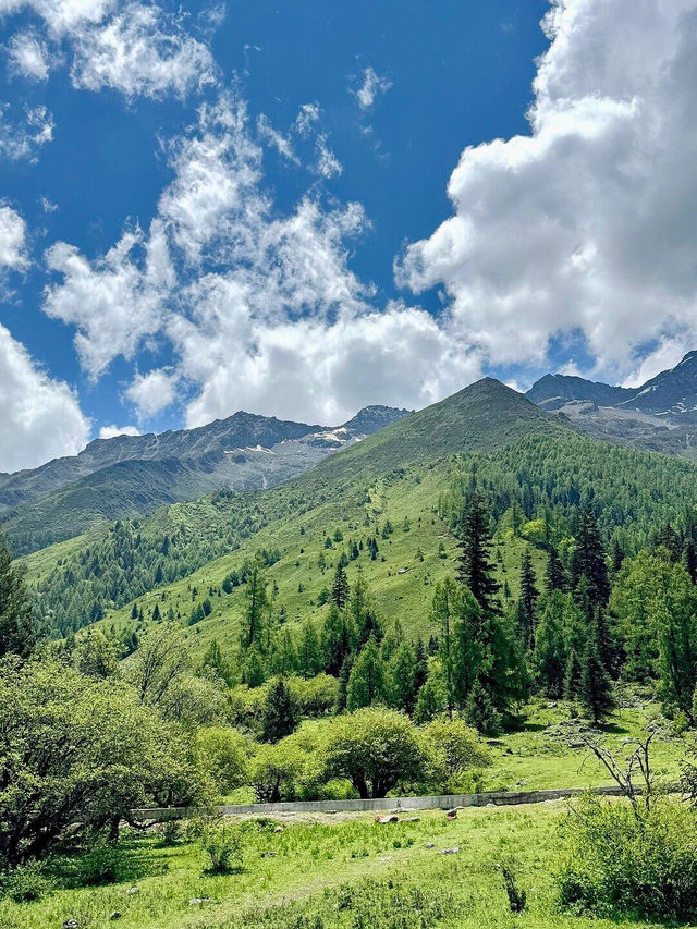 6.24📍四姑娘山已回!超實用個人經驗總結+live感滿滿的夏日漂流體驗,這裡的夏天真的太治癒啦🍃一秒走進宮崎駿動畫! 6.24📍四姑娘山已回!超實用個人經驗總結+live感滿滿的夏日漂流體驗,這裡的夏天真的太治癒啦🍃一秒走進宮崎駿動畫!