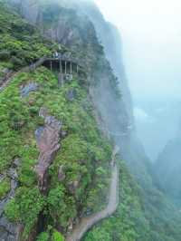廣東周邊遊｜郴州莽山2日1夜玩到唔想返！