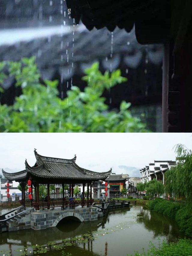 雨季衝婺源，青瓦雲海美過屏保