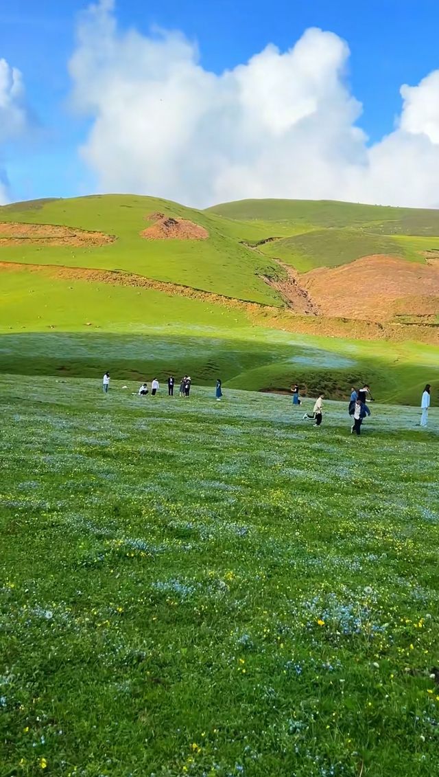 「東川二海草原：昆明北境的隱秘綠野仙蹤」