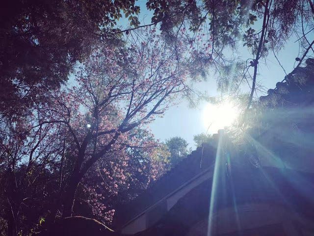 瞓醒就見蒼山洱海！大理秋日神仙視角攻略，實力希爾頓躺贏風花雪月