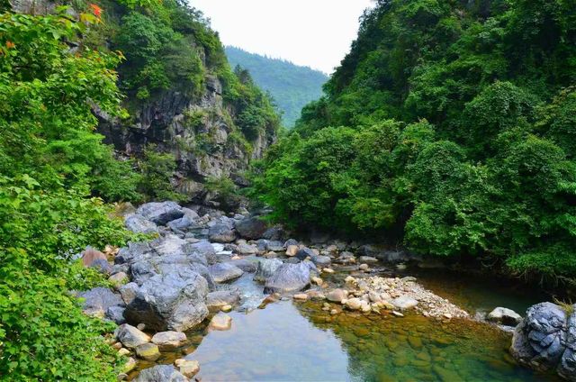 探秘石台牯牛降：華東最後的綠野仙蹤