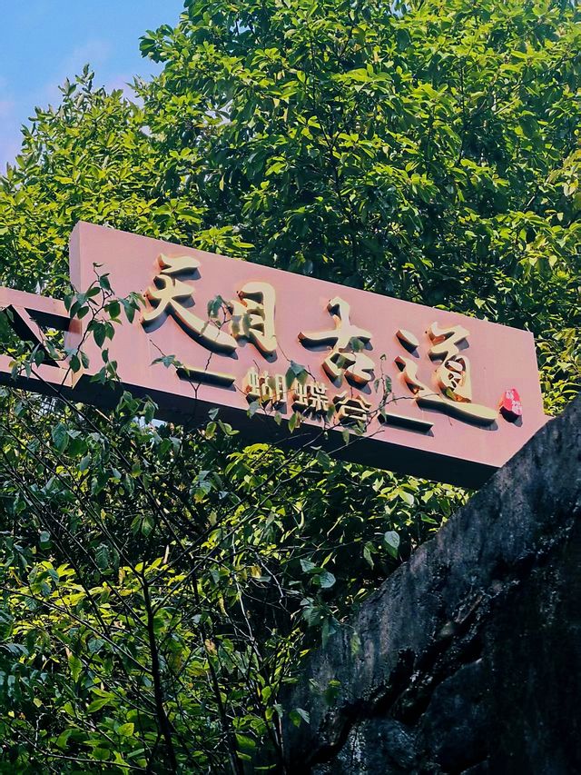 蝴蝶谷溯溪，最爽嘅就係嗰一跳