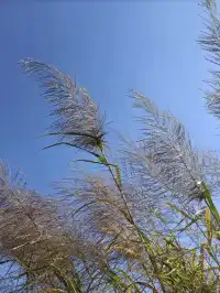 宜良華美達，浸溫泉享悠閒！