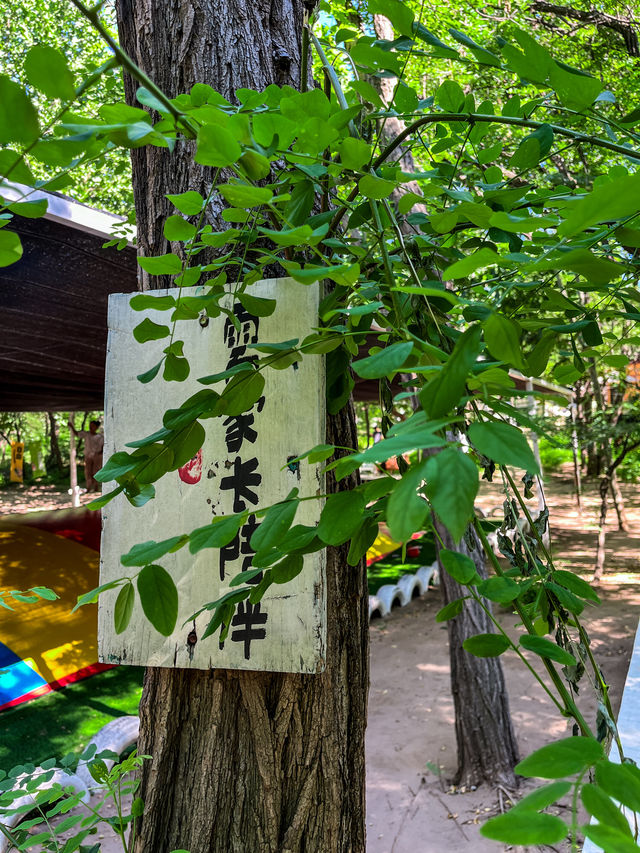 後悔而家先知！鄭州周邊寶藏親子好去處