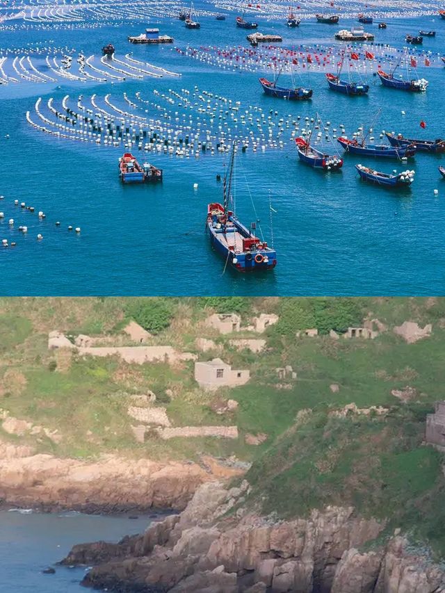 被枸杞島實力圈粉！上海周邊嘅神仙海島