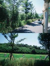江浙滬山林放空的度假好去處