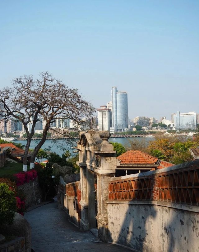 老司機嘅鼓浪嶼私藏觀賞路線，帶你領略唔一樣嘅鼓浪嶼風情